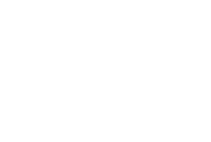 Baskin-Robbins Logo