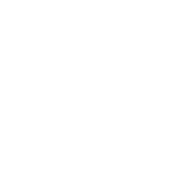 Buffalo Wild Wings Logo